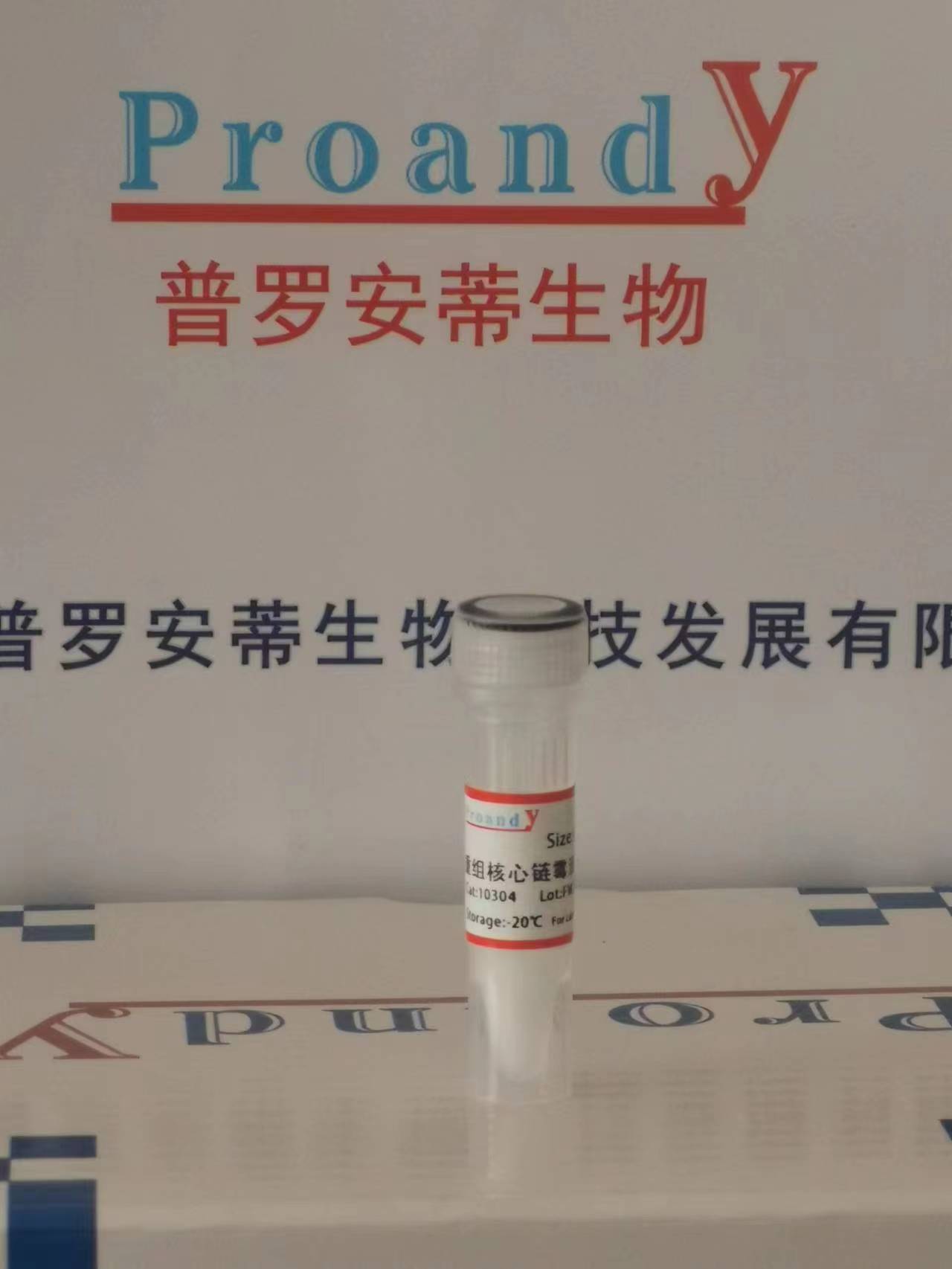 1692353111734031.jpg 鏈霉親和素(普通).jpg