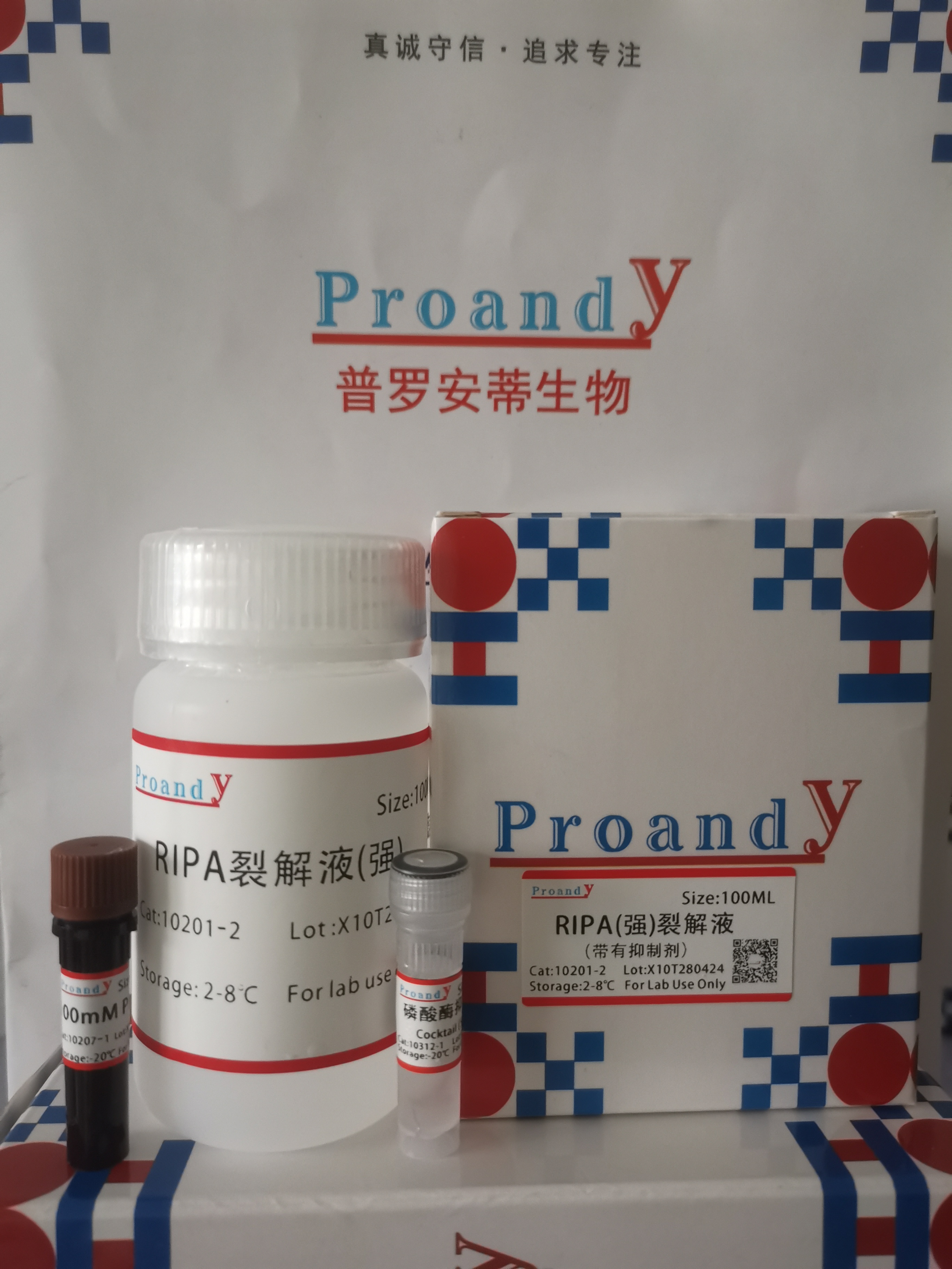 1714352961367695.jpg RIPAl裂解液.jpg