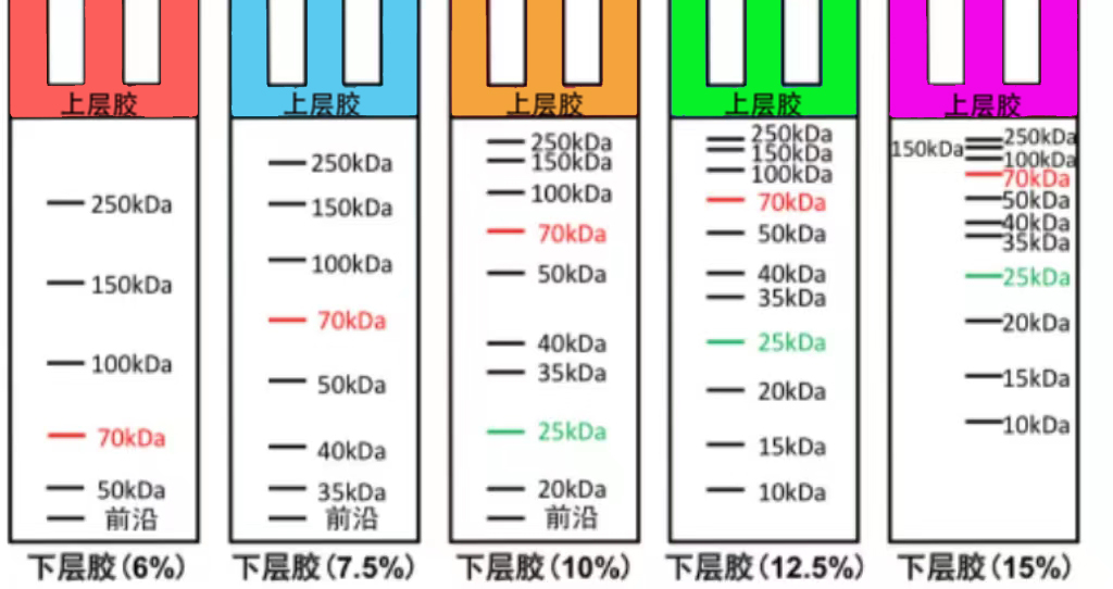1718157927332159.jpg ba21dc215f29036f13af610d95898e6.jpg